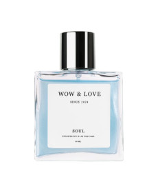 Wow & Love Shimmering Hair Perfume Soul Шимерний парфум-блиск для волосся - Написати відгук