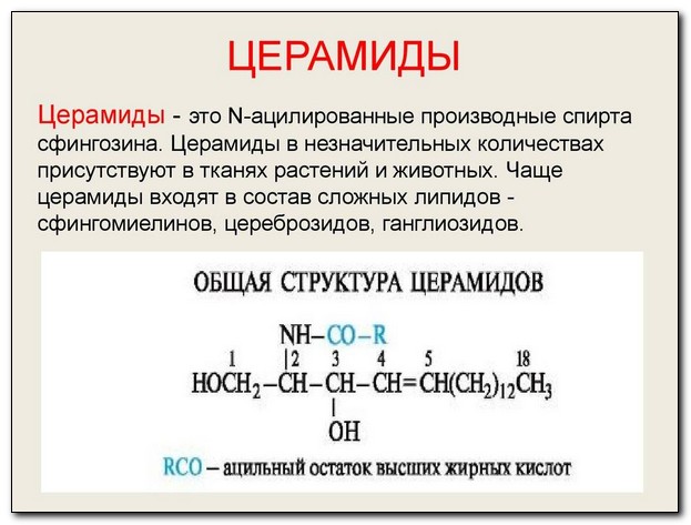 цераміди в косметиці